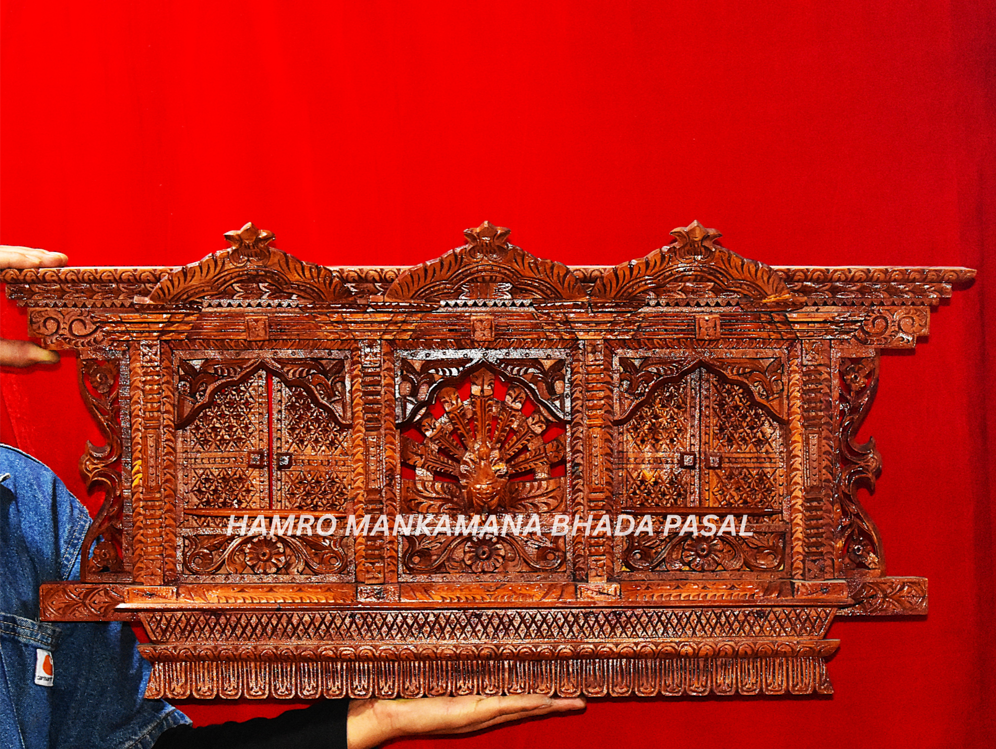 Aakhi Jhyal Mayur and Door design